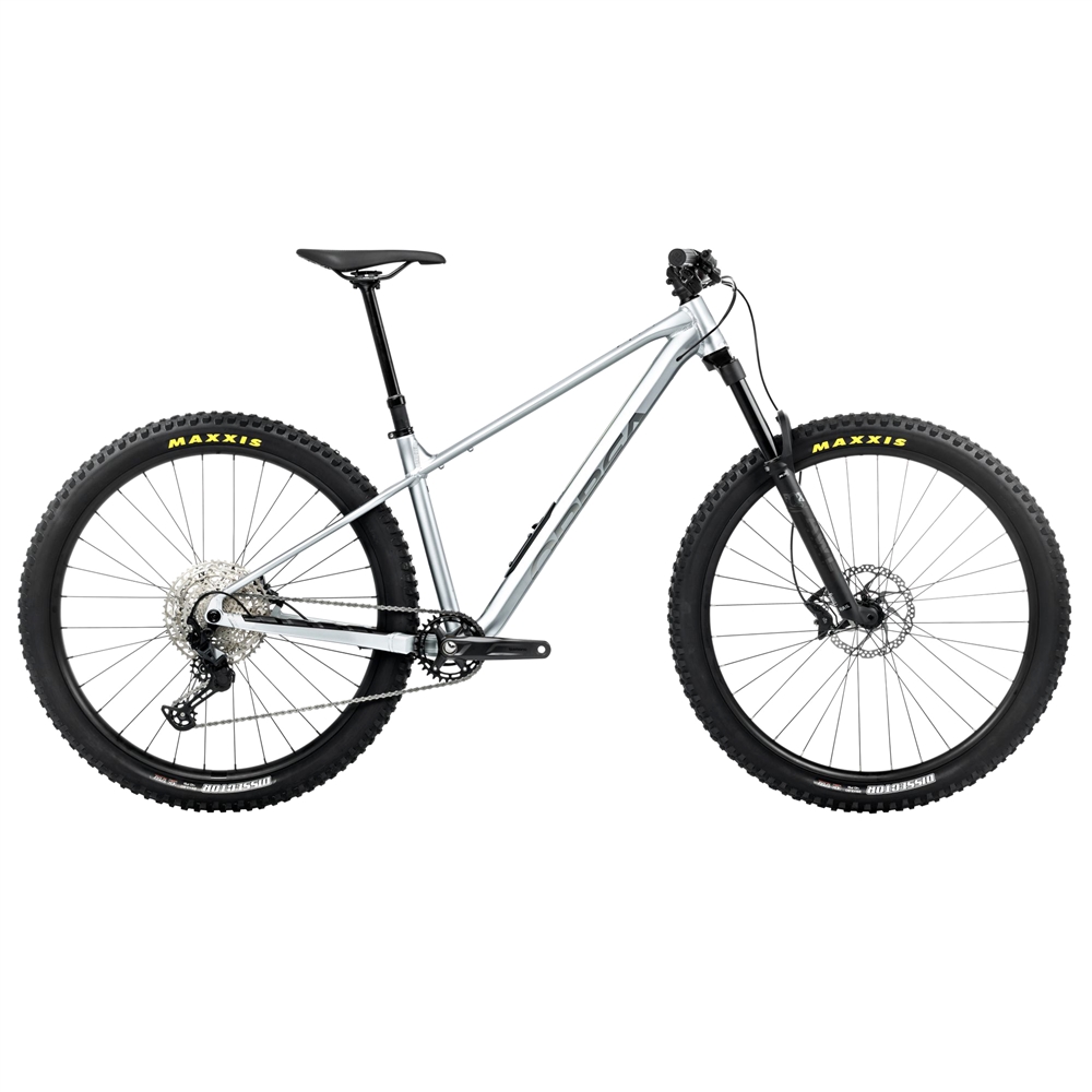 Laufey H10 Hardtail Mountain Bike - Smooth Silver/Titanium (2026)