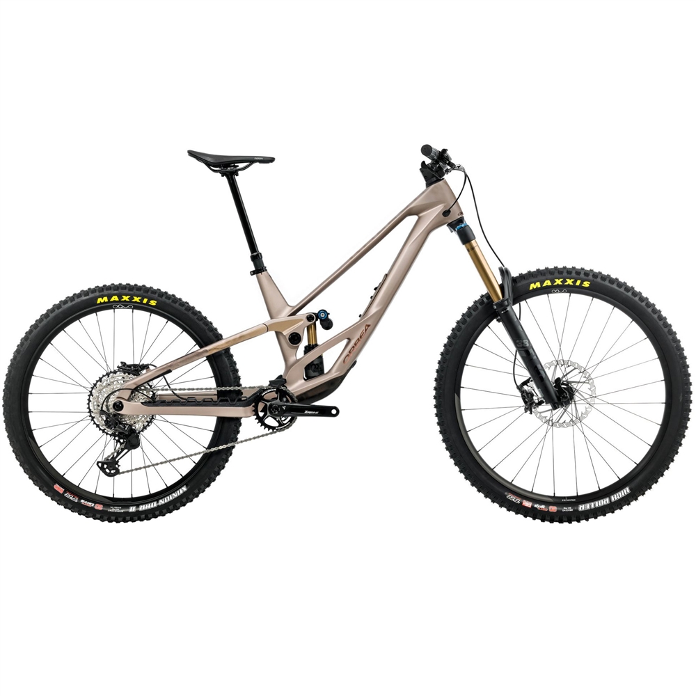 Rallon 450 E-Team Full Suspension Mountain Bike - Nickel/Nickel Chrome (2026)