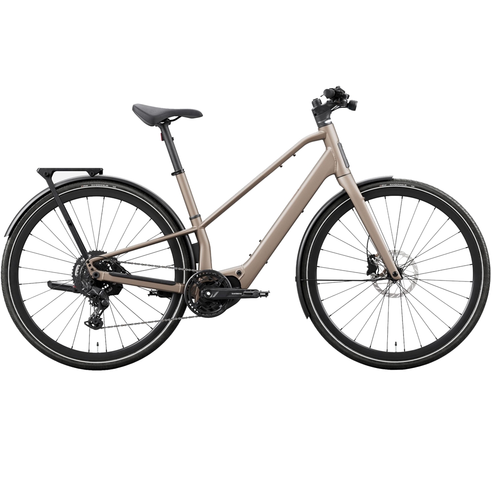 Carpe 20 Electric Hybrid Bike - Nickel (2027)