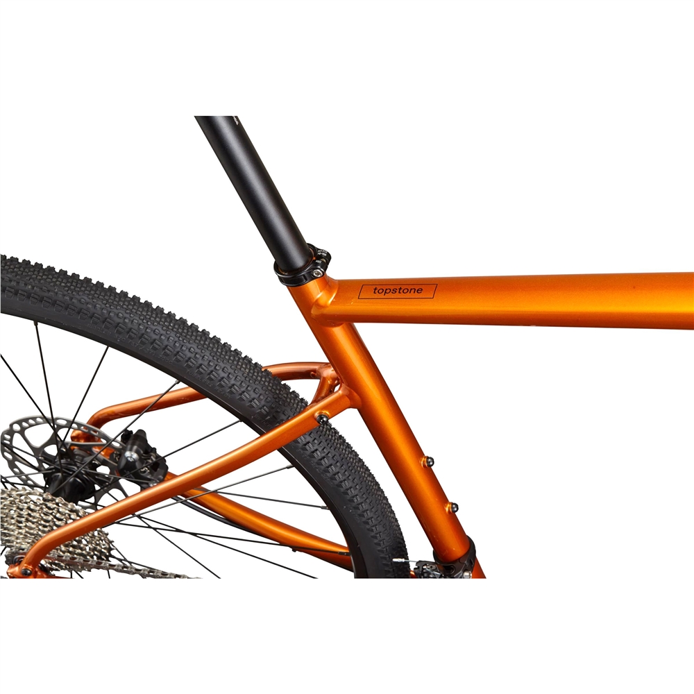 Topstone 1 Gravel Bike - Tiger Eye (2025)