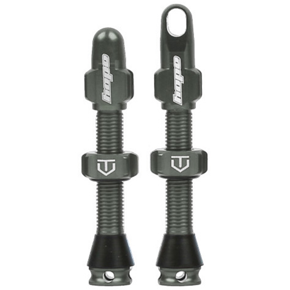 Tubeless Valves (Pair)