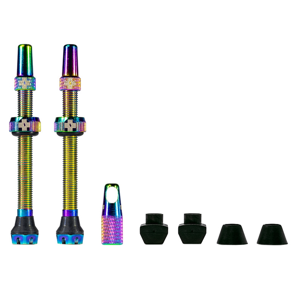 Tubeless Valves V2