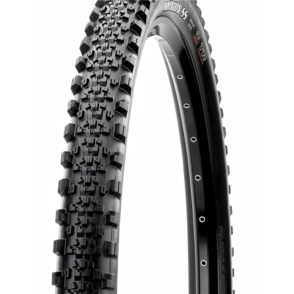 Minion SS 29" MTB Tyre