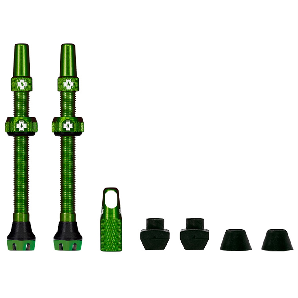 Tubeless Valves V2