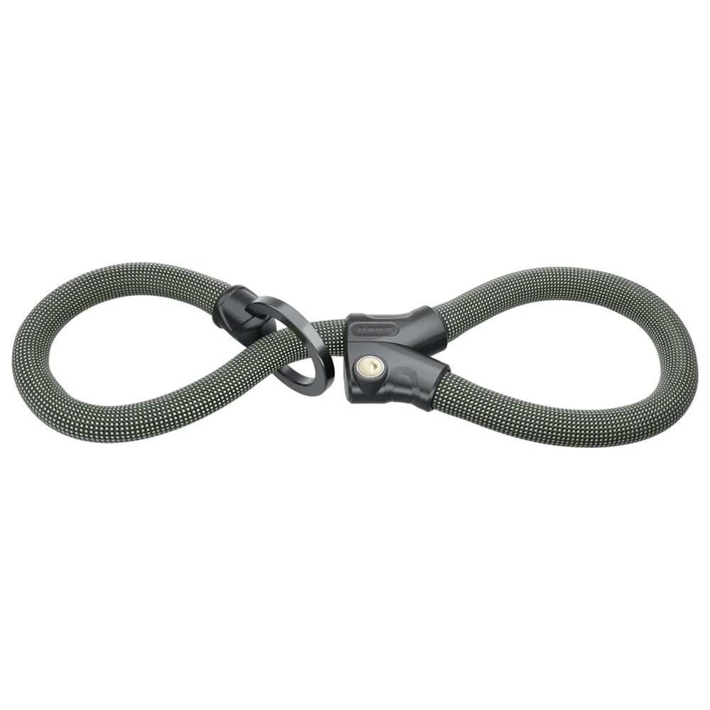 Infinity Loop - 1806 Lock