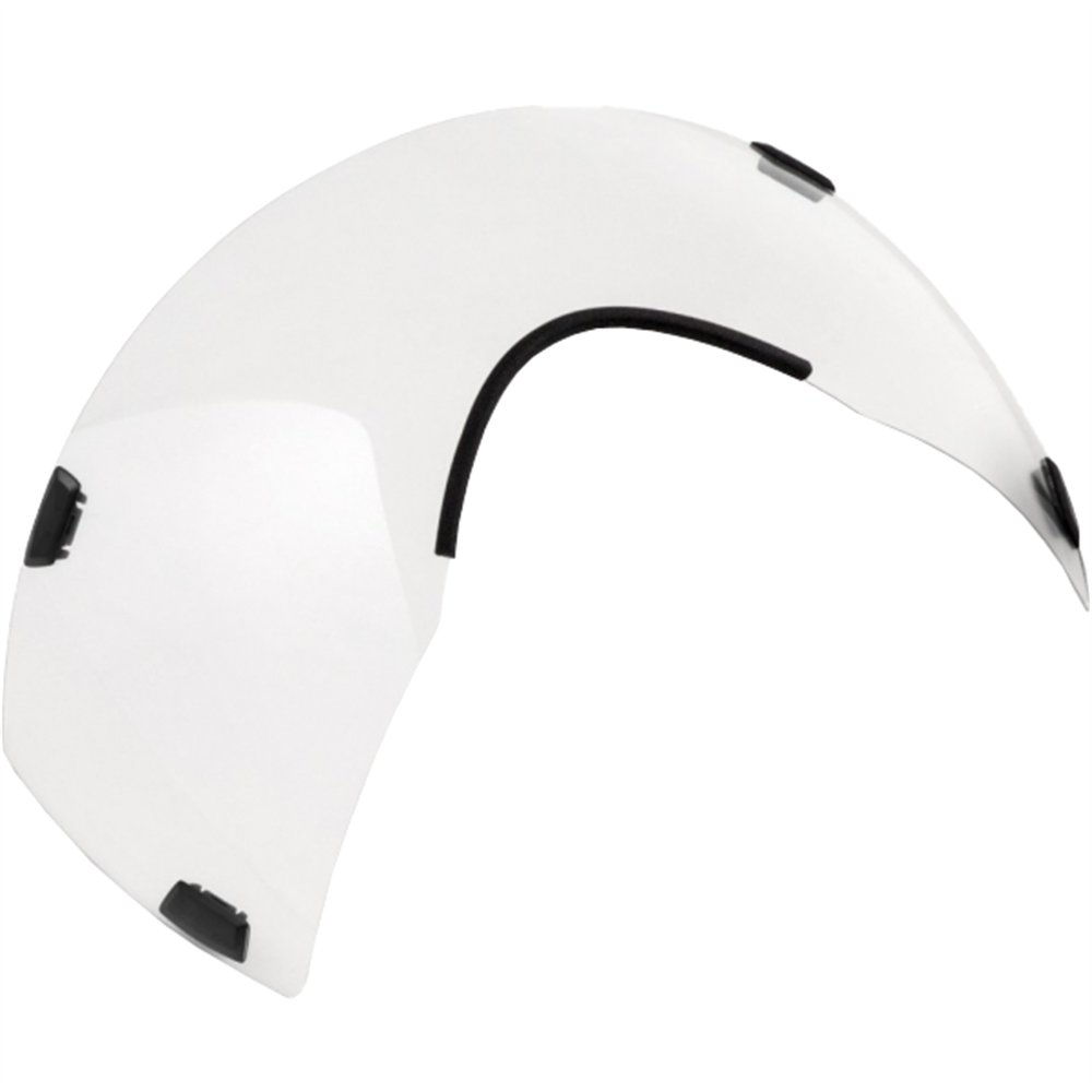 Codatronca Dual-Mag Visor