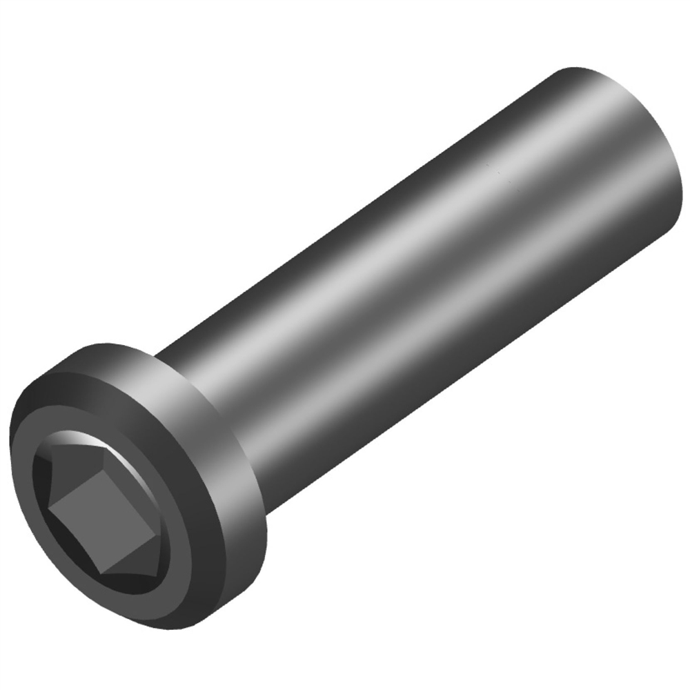 Rallon RS Shock Fixing Bolt (2027)