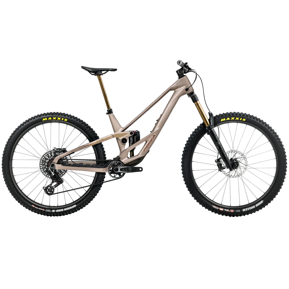 Rallon 450 E-Ltd Full Suspension Mountain Bike - Nickel/Nickel Chrome (2026)