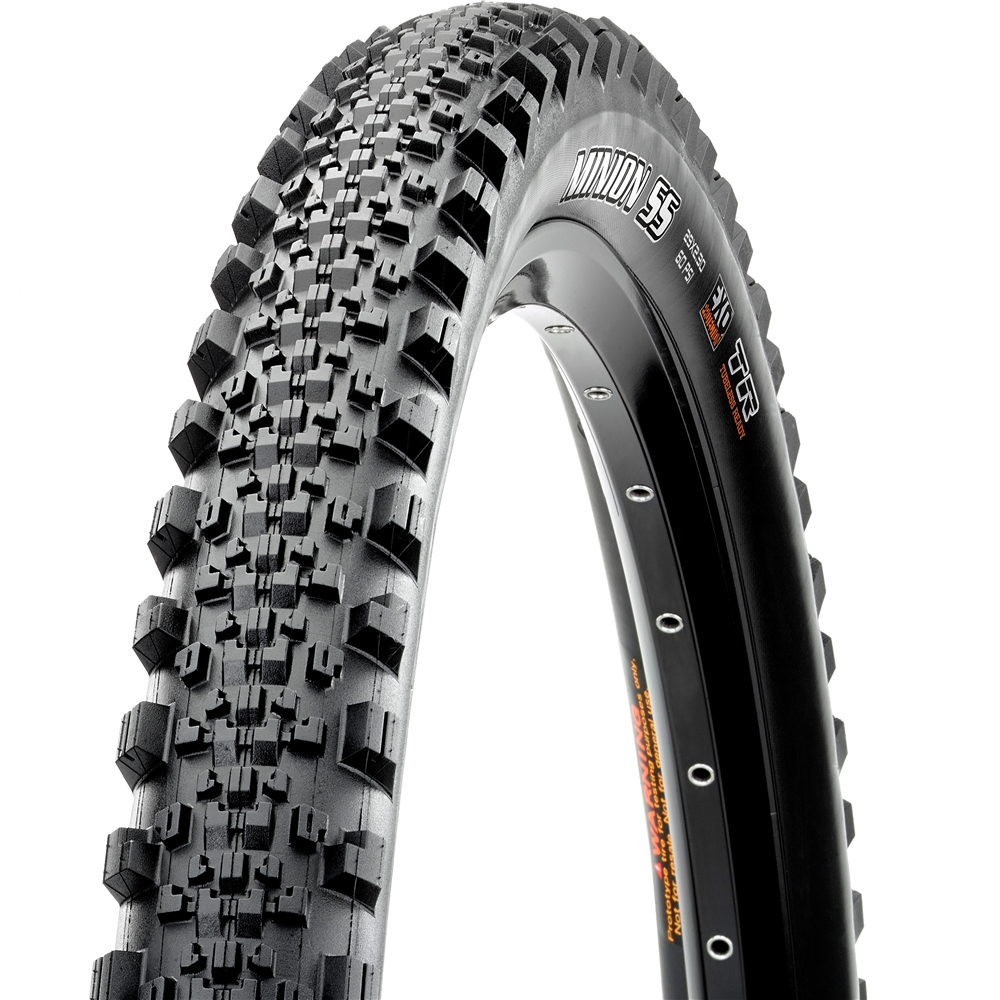 Minion SS 29" MTB Tyre