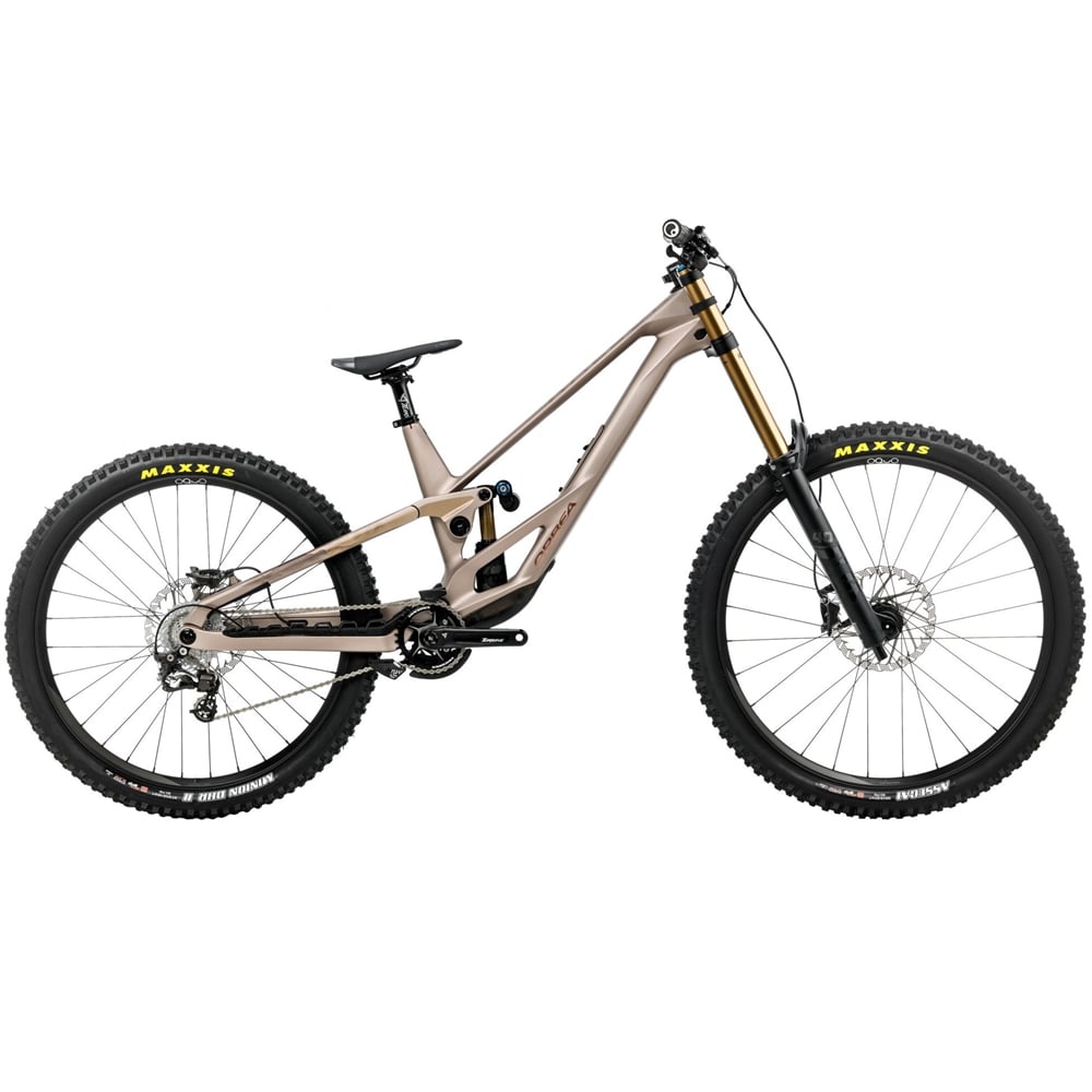 Rallon 450 D-Ltd Downhill Mountain Bike - Nickel/Nickel Chrome (2026)