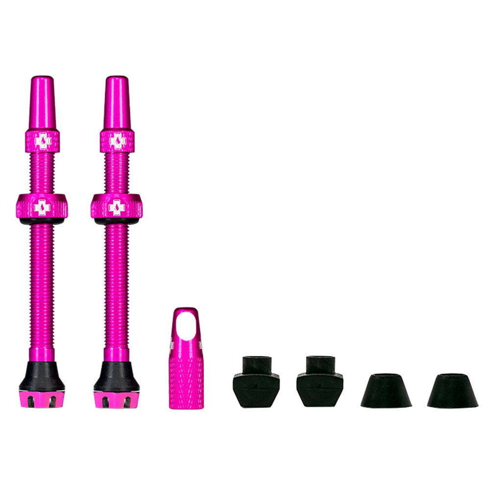 Tubeless Valves V2