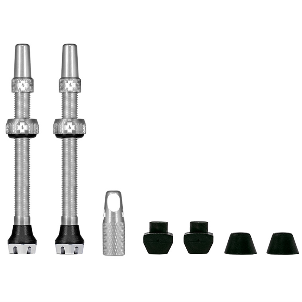 Tubeless Valves V2