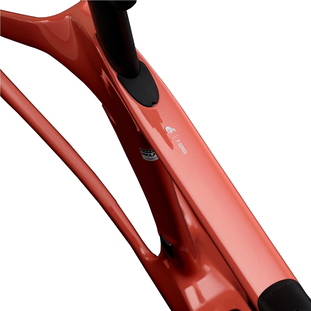 P Rival AXS 1 TT/Tri Bike - Extraspectral Mauve (2026)