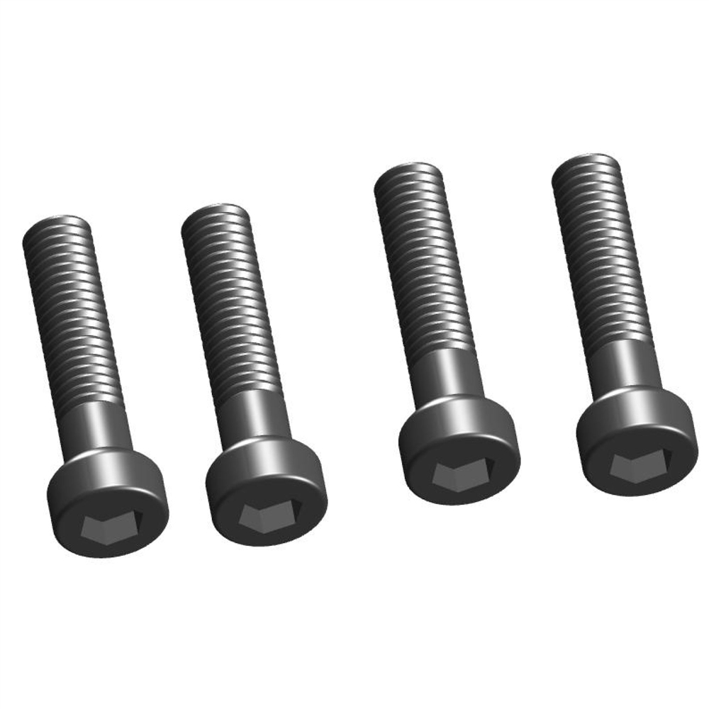 Rallon RS Motor Bolt Kit (2027)