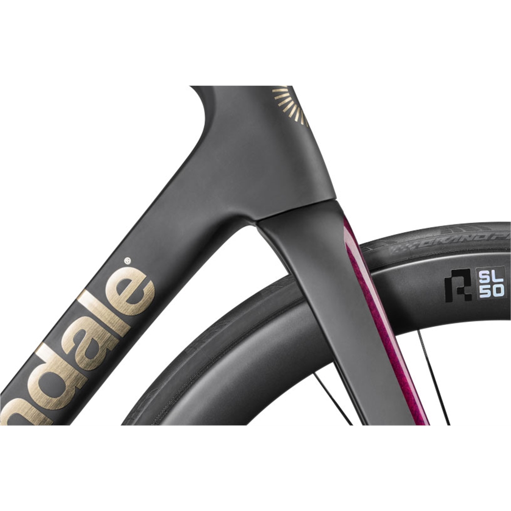 SuperSix EVO LAB71 Road Bike - Marble Oxblood (2025)