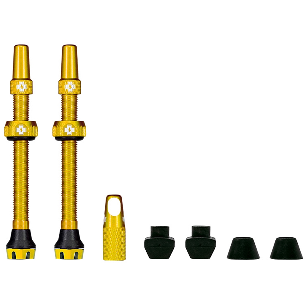 Tubeless Valves V2