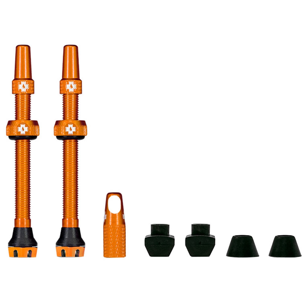 Tubeless Valves V2