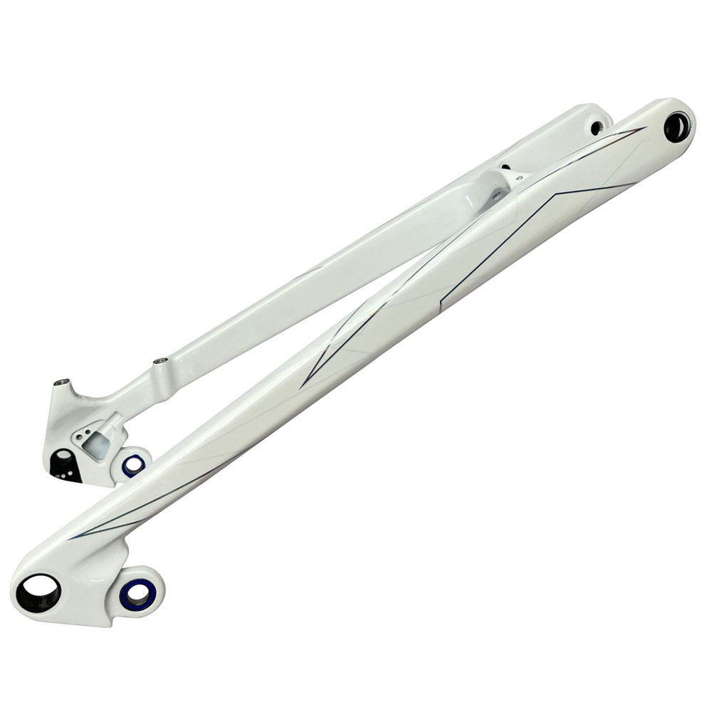 Patron eRIDE 900 Tuned Seatstays (2022)
