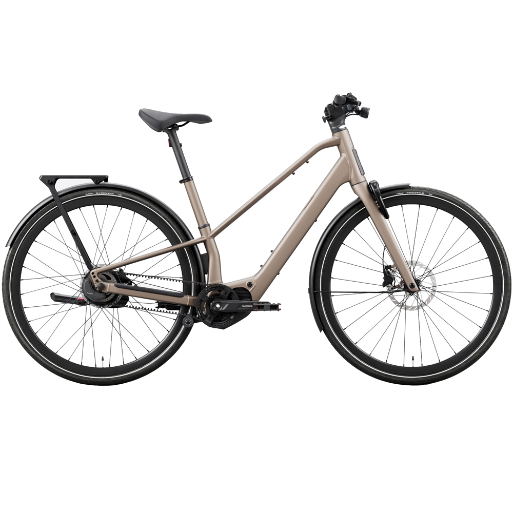 Carpe 10 Electric Hybrid Bike - Nickel (2027)