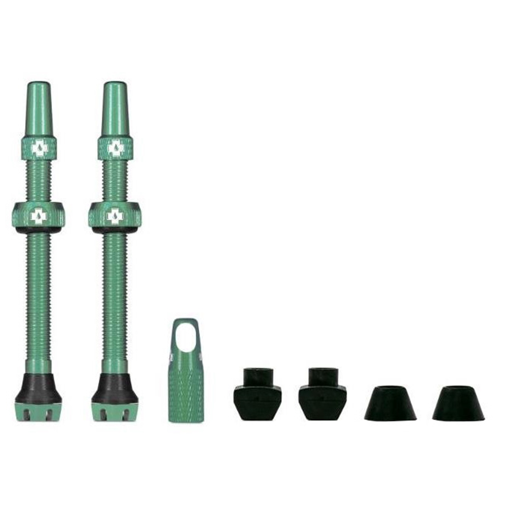 Tubeless Valves V2