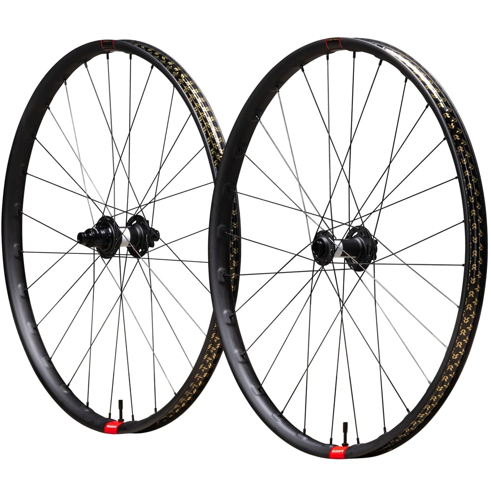 30 DH Carbon MTB Wheelset - DT350