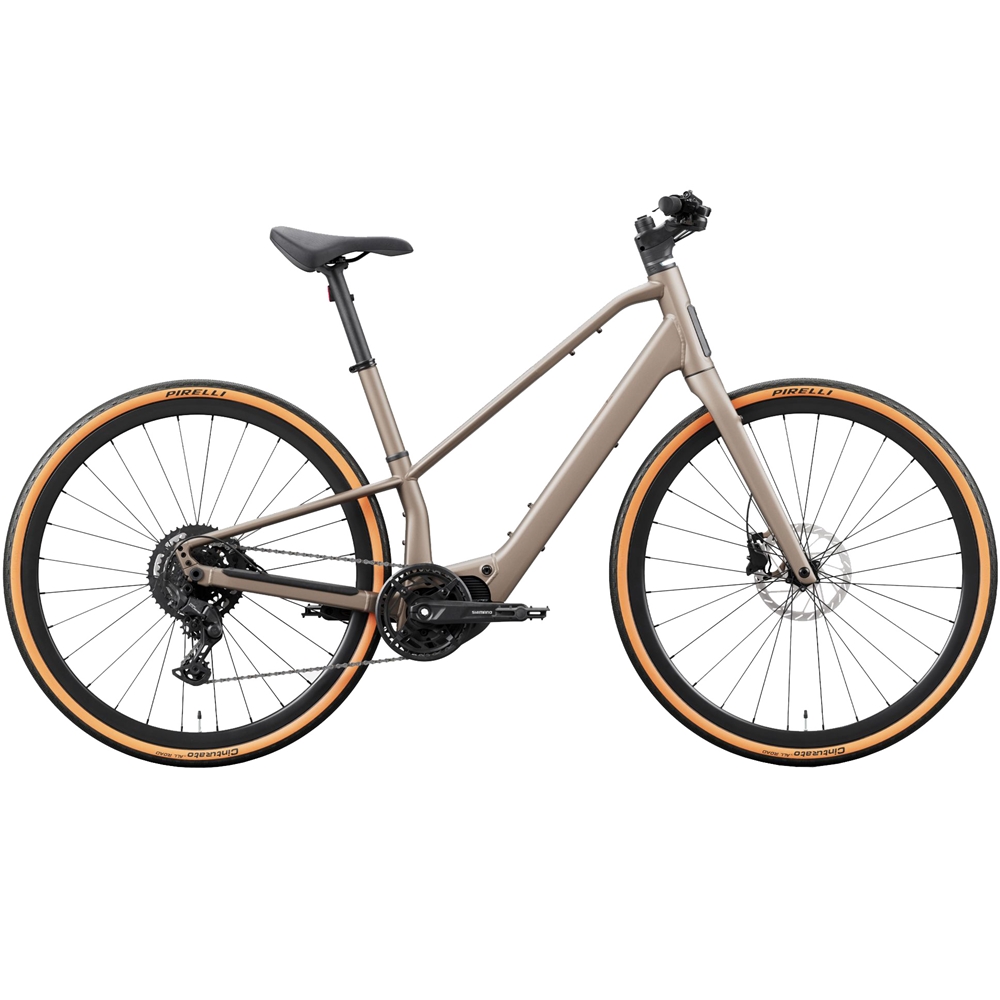 Carpe 25 Electric Hybrid Bike - Nickel (2027)