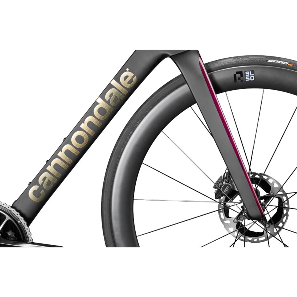SuperSix EVO LAB71 Road Bike - Marble Oxblood (2025)