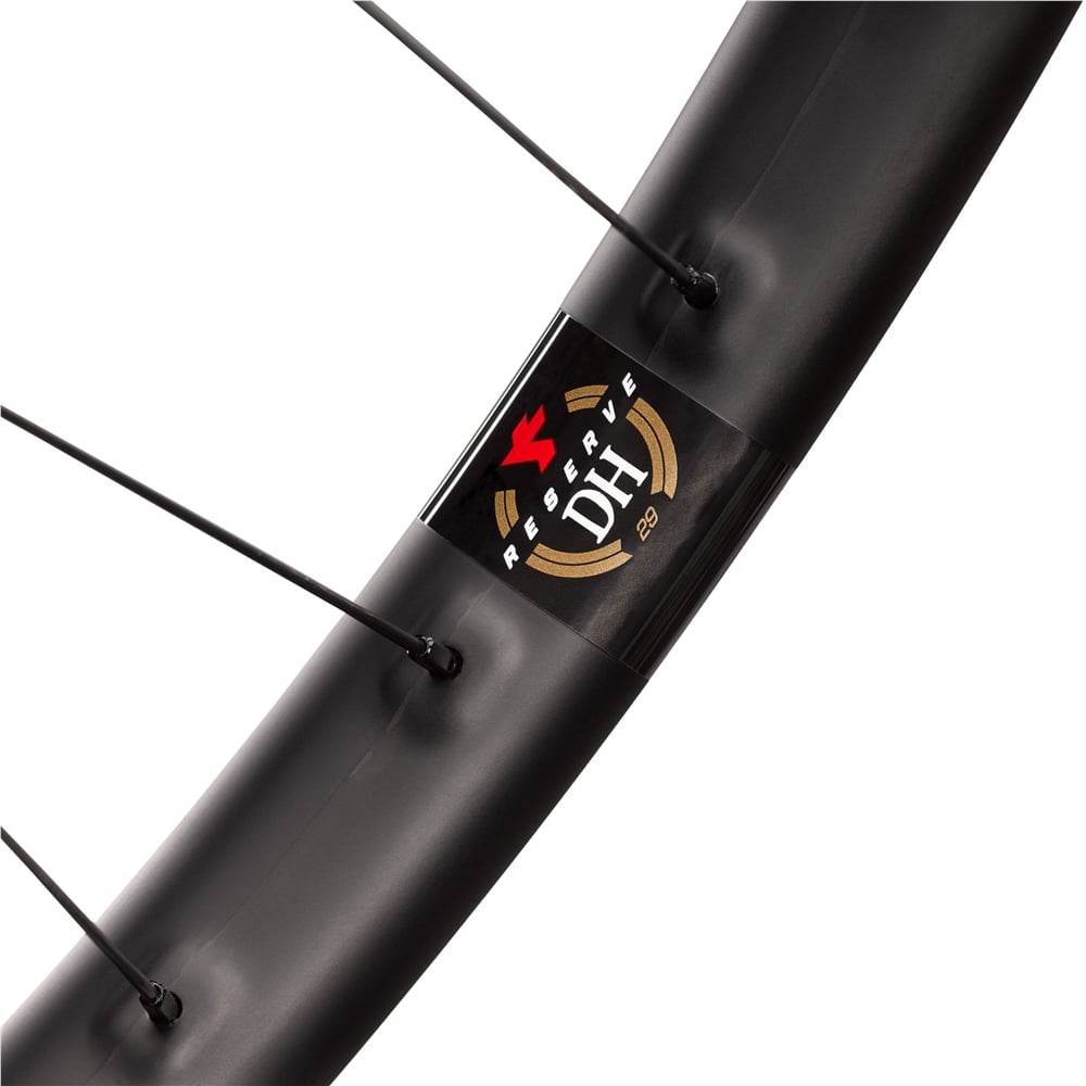 30 DH Carbon MTB Wheelset - DT350