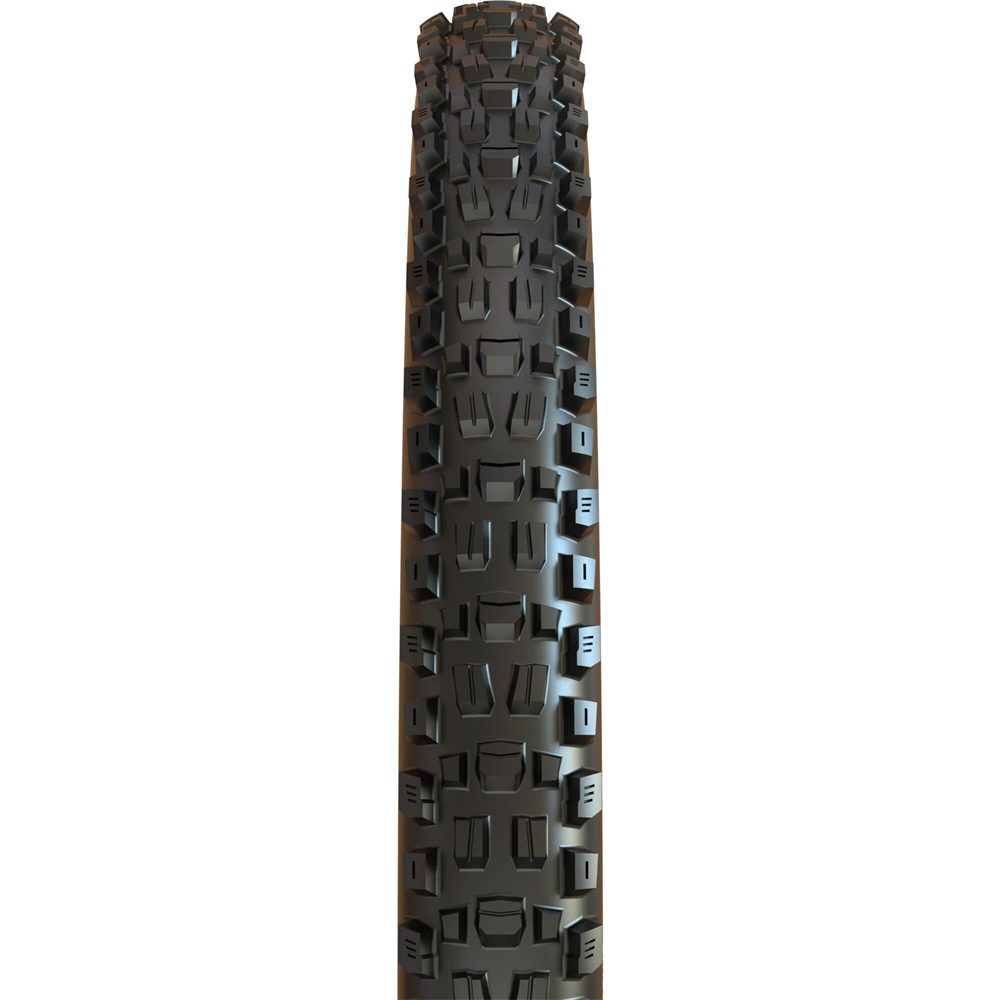 Assegai Foldable Dual Compound EXO Tubeless MTB Tyre