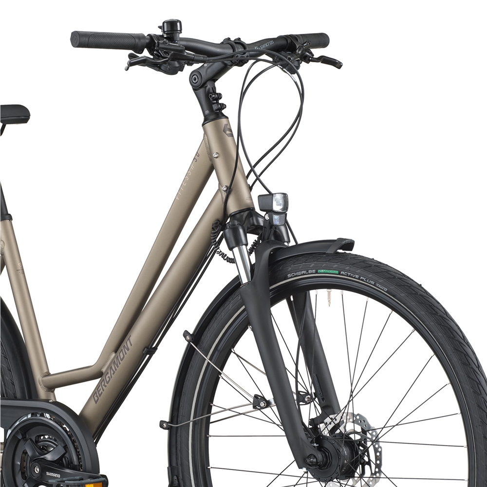 Vitess 50 Amsterdam Hybrid Bike - Warm Silver (2026)