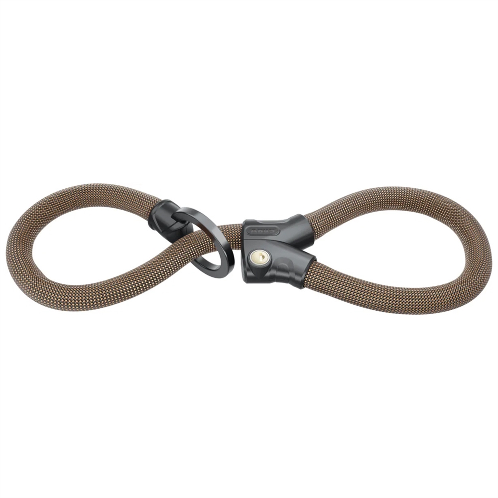 Infinity Loop - 1806 Lock