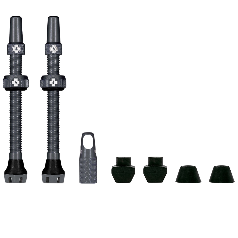 Tubeless Valves V2