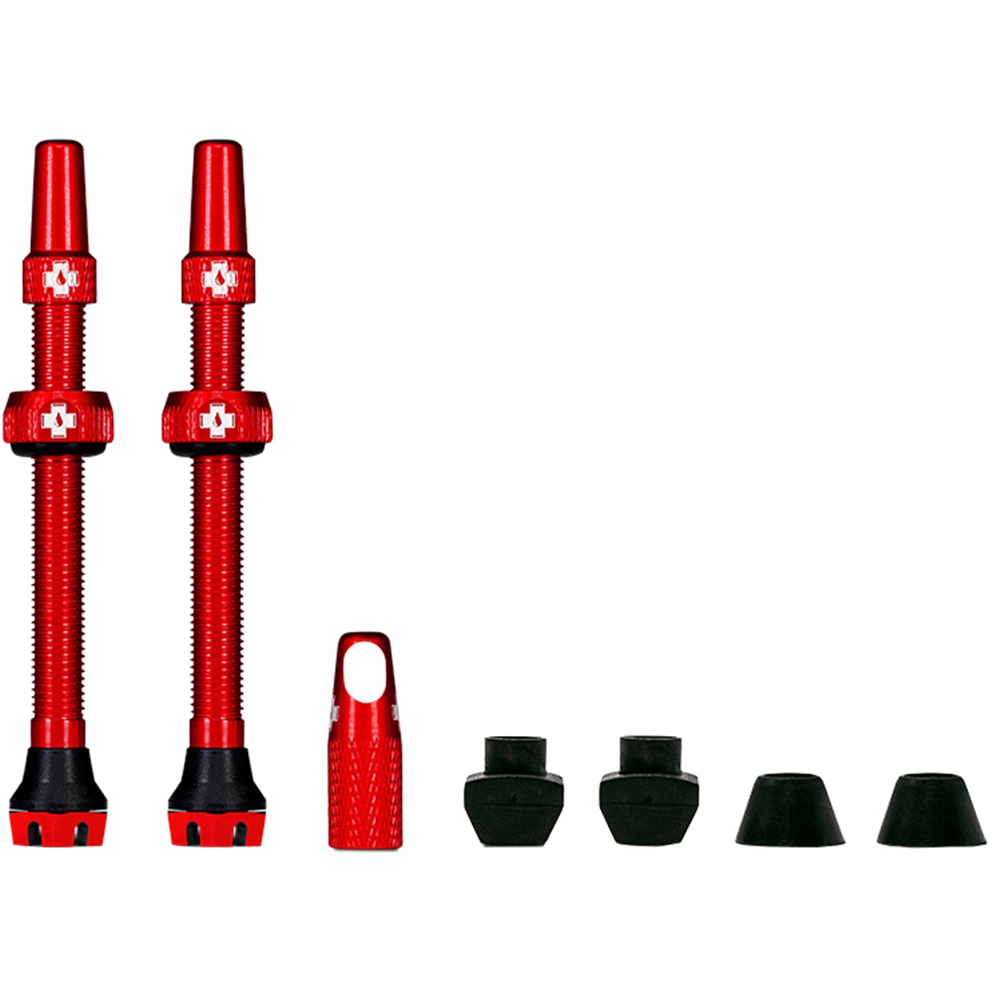 Tubeless Valves V2