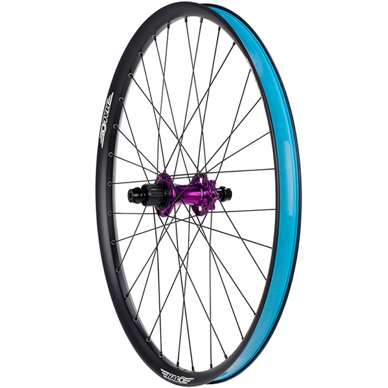 Black/Purple