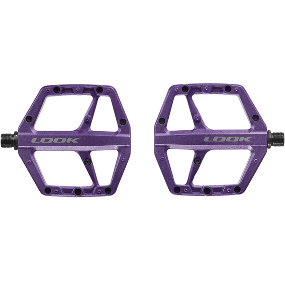 Night Purple