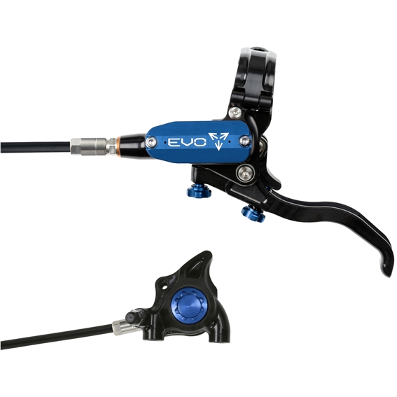 Black/Blue