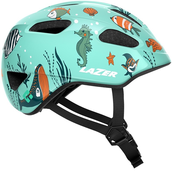 Sealife