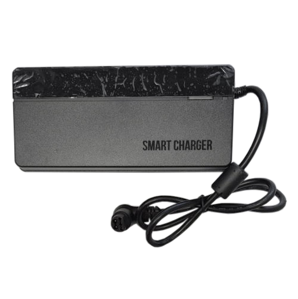 Giant EnergyPak 6A 36V L-Type 5-Pin Smart Charger Without AC Power