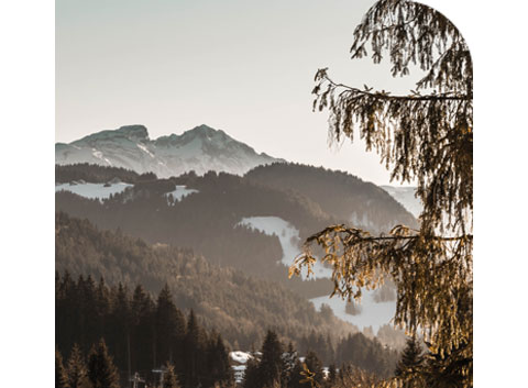 Top 5 Ski Resorts In The Alps For Mountain Biking
