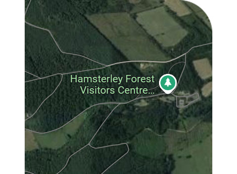 Trail Guide To Hamsterley Forest