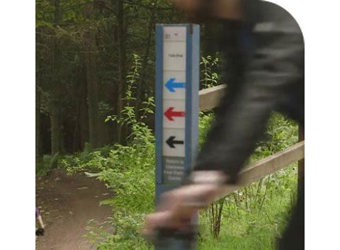 Mountain Bike Trail - Colour Grading Explained