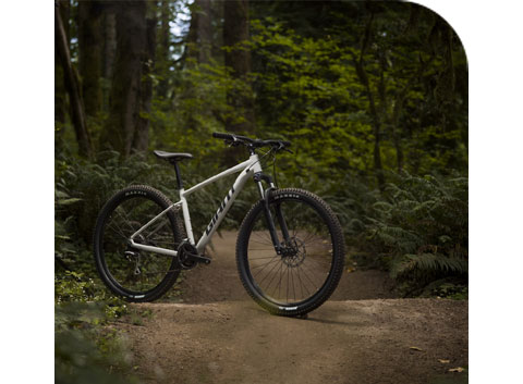 Cycle Scheme Mountain Bikes