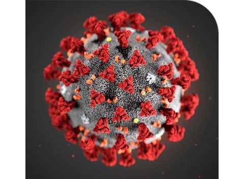 Mountain Biking And Coronavirus