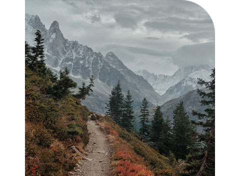 Mountain Biking In Chamonix