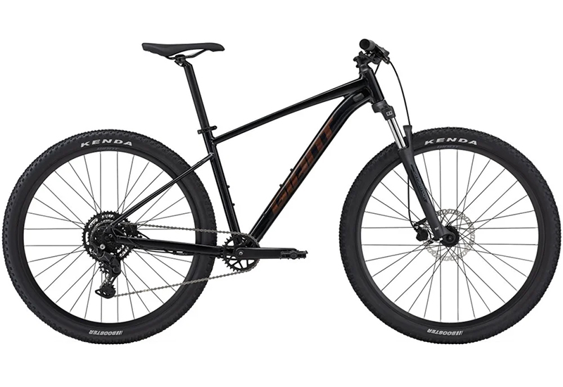 Talon 29 2 - 2024