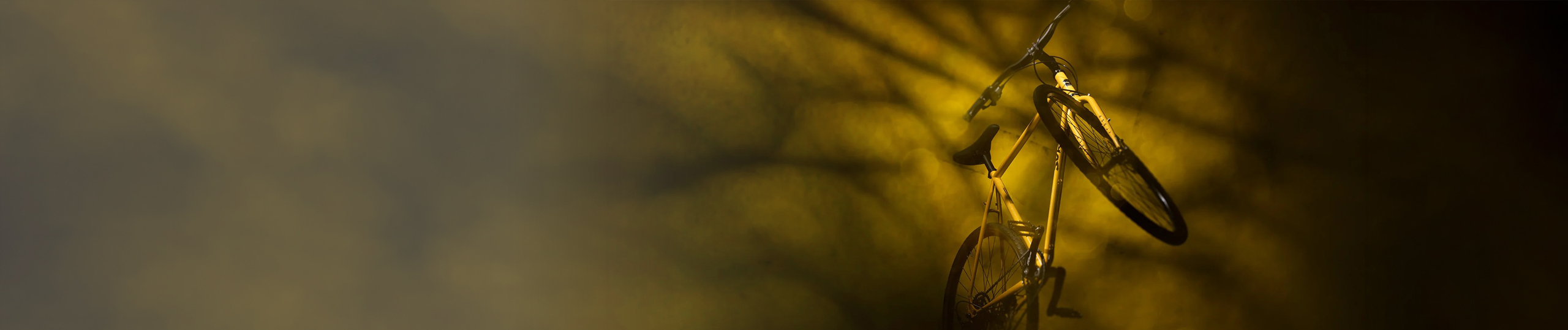 Listing header image