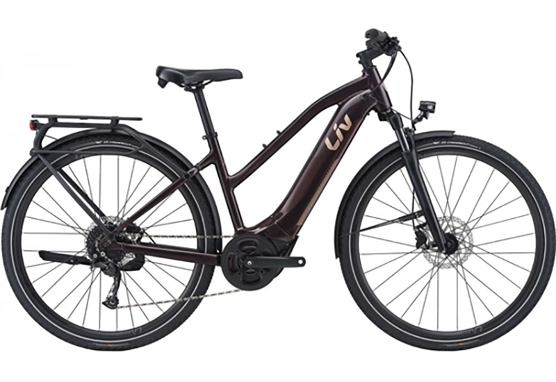 Liv Amiti E+ 2 - 2021