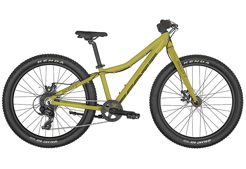 Roxter 24 - 2025