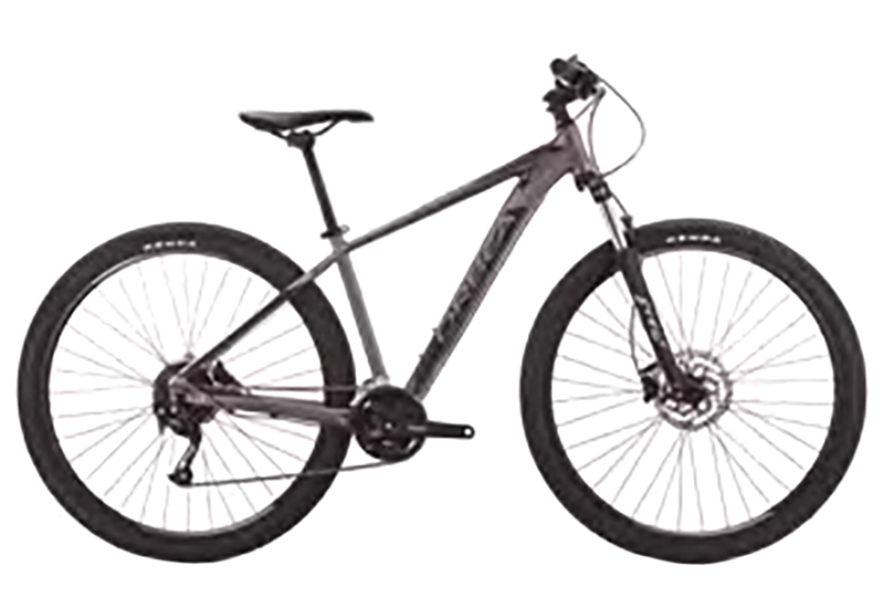 MX 40 - 2019