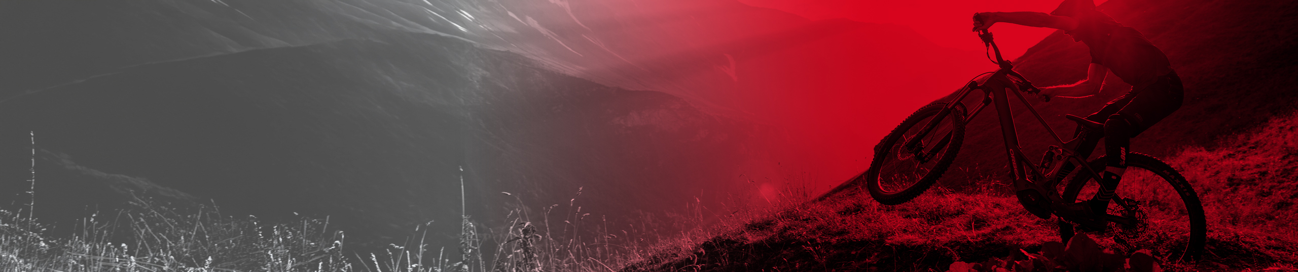 Listing header image
